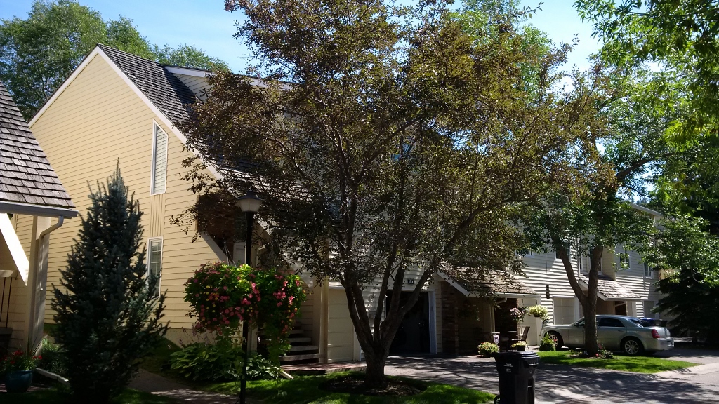 Building 3